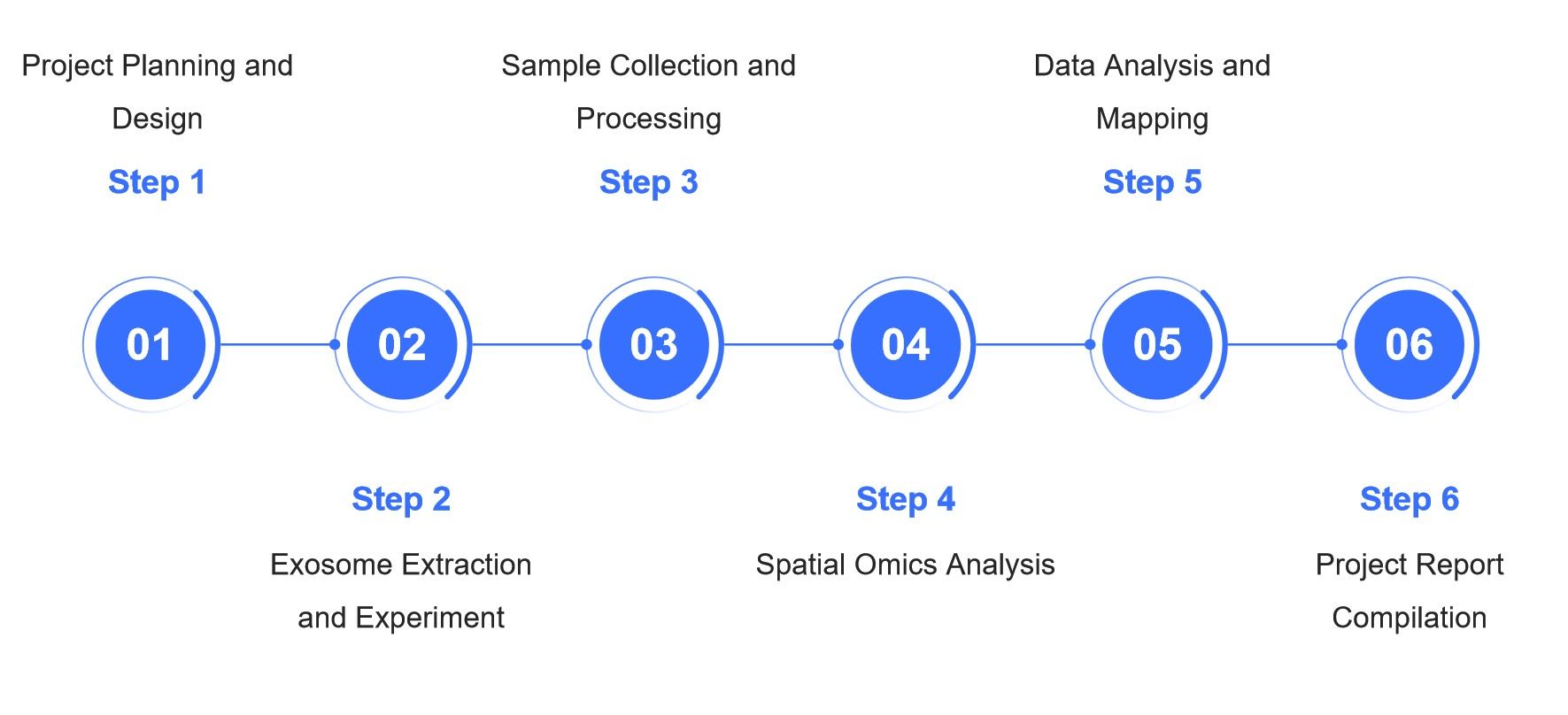 Flowchart depicting six key steps of Creative Biostructure's exosome spatial omics workflow from project planning to final report delivery.