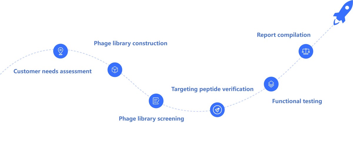 Workflow diagram of exosome targeting peptide screening and functionalization process.