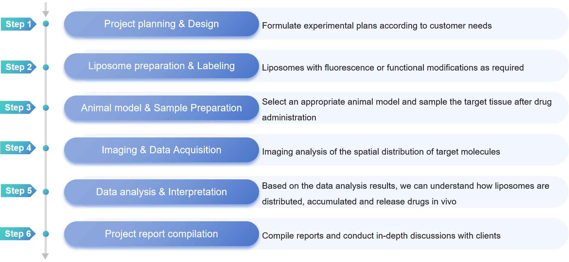 Six-step workflow diagram illustrating Creative Biostructure's liposome spatial omics service from project planning to final report compilation.