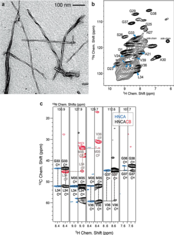 MAS solid-state NMR experiments recorded for a perdeuterated Alzheimer's disease peptide Aβ1-40 fibrils