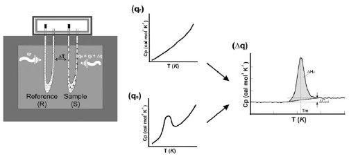 Illustration of DSC working principle showing heat flow during thermal transitions.