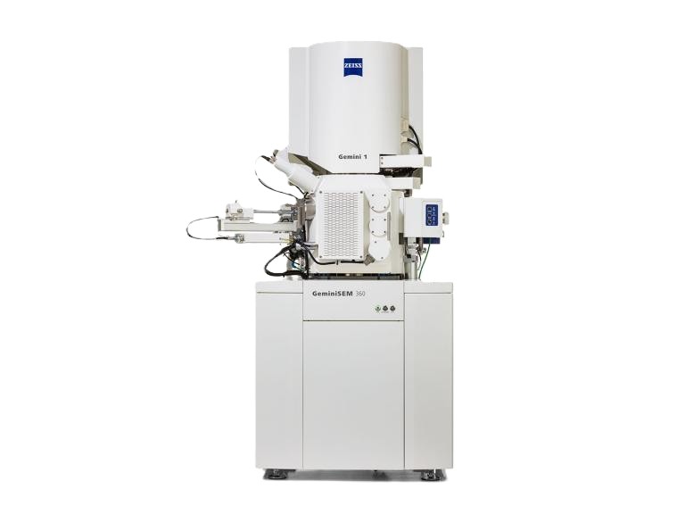 GeminiSEM 360 (FE-SEM).
