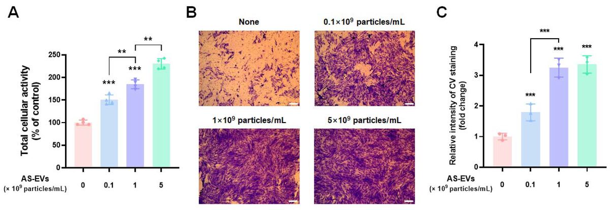 Aloe saponaria-derived extracellular vesicles increase HDF viability and migration as shown by WST-8 assay and transwell migration with CV staining and absorbance quantification.