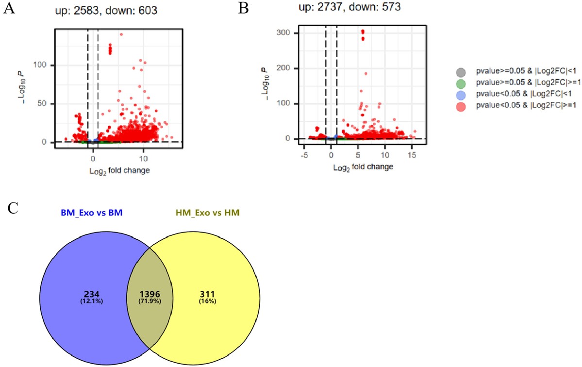 Volcano plots and Venn diagram showing differentially expressed miRNAs in konjac-derived exosome-like nanoparticles versus plant tissue.