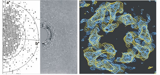 From rat liver microsomes to 3D maps of MGST1