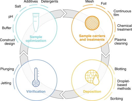 General overview of the stages involved in sample preparation for cryo-EM.