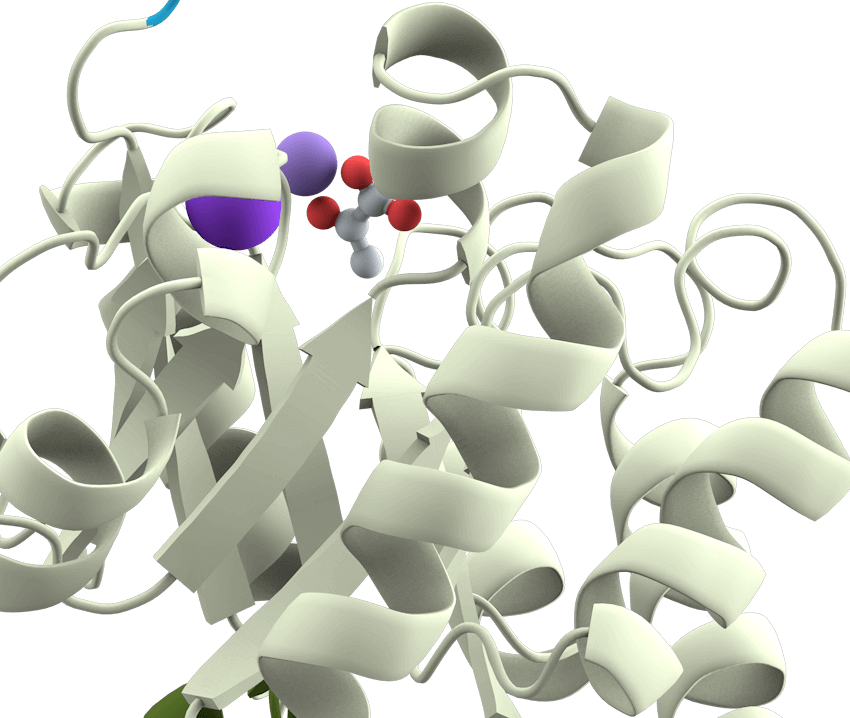 Protein-ligand complex Cryo-EM service