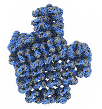 DNA Cryo-EM service