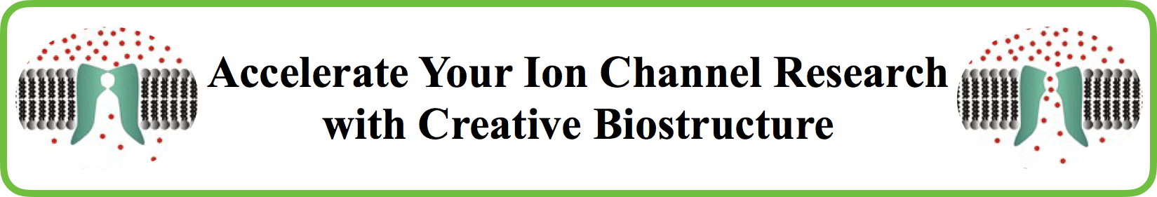 Discovery Program for Ion Channel Targets
