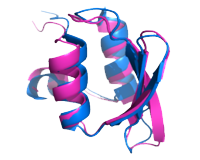 Small protein Cryo-EM service