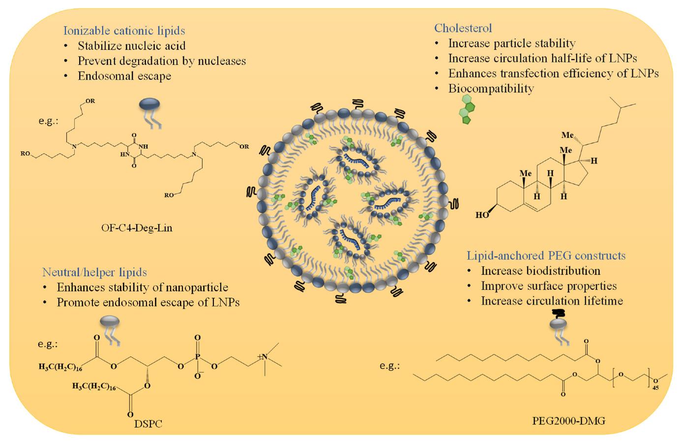 Cryo-EM Applications in Lipid Nanoparticle Characterization