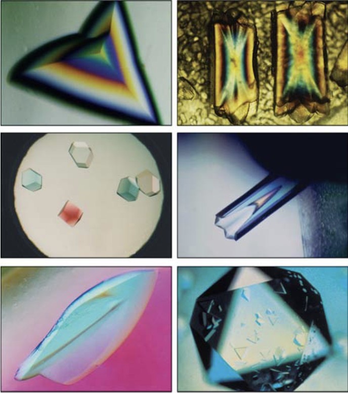 From Solution to Crystal: Mastering Protein Crystallization