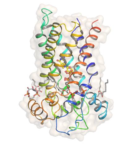 Structural Studies of Hot Target Proteins: Techniques, Insights, and Challenges